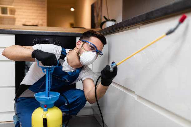 Best Best Pest Control Companies  in Harveys Lake, PA