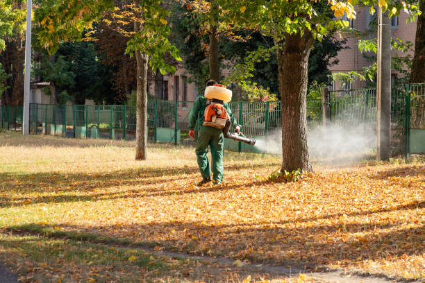 Professional Pest Control in Harveys Lake, PA