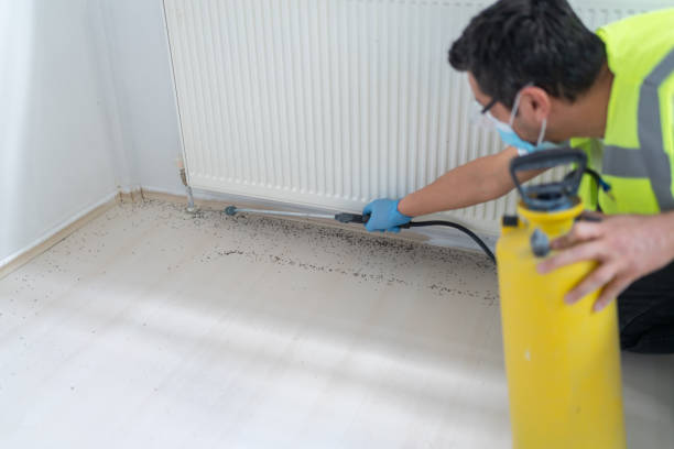 Best Flea Control Services  in Harveys Lake, PA