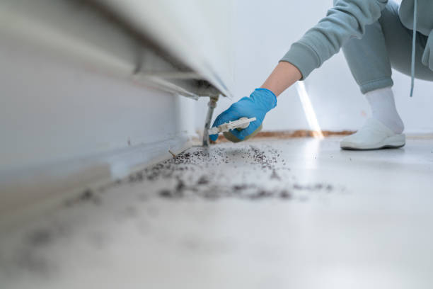 Best Wasp Removal Services  in Harveys Lake, PA